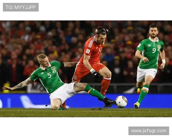 塞尔维亚与威尔士精彩对决全场录像回放及精彩瞬间分析