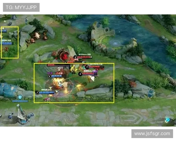 深入分析RNG战队区域防守策略及其在比赛中的应用效果